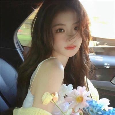 做一只鸟真不容易 在线观看